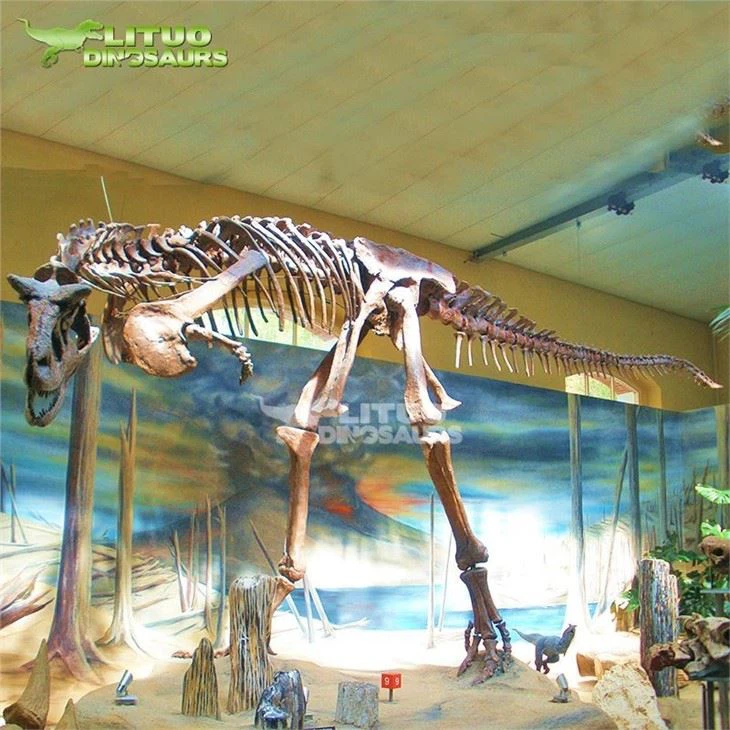 3Carnotaurus Dinosaur Skeleton(001)