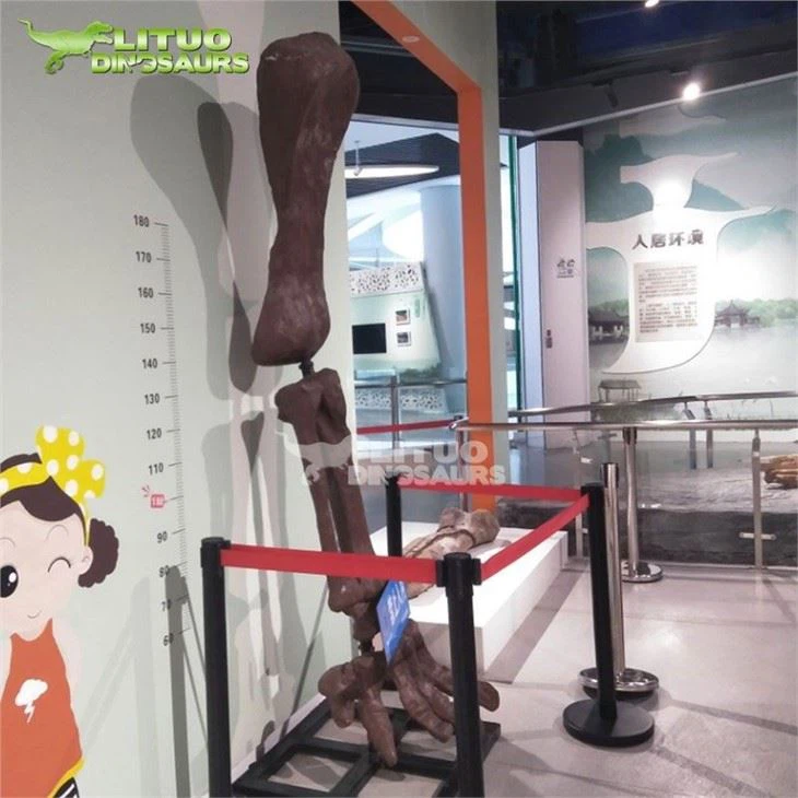 4Bone Fossil(001)
