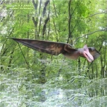 Animatronik Pterodaktil ve Quetzalcoatlus