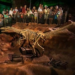 Velociraptor İskeleti
